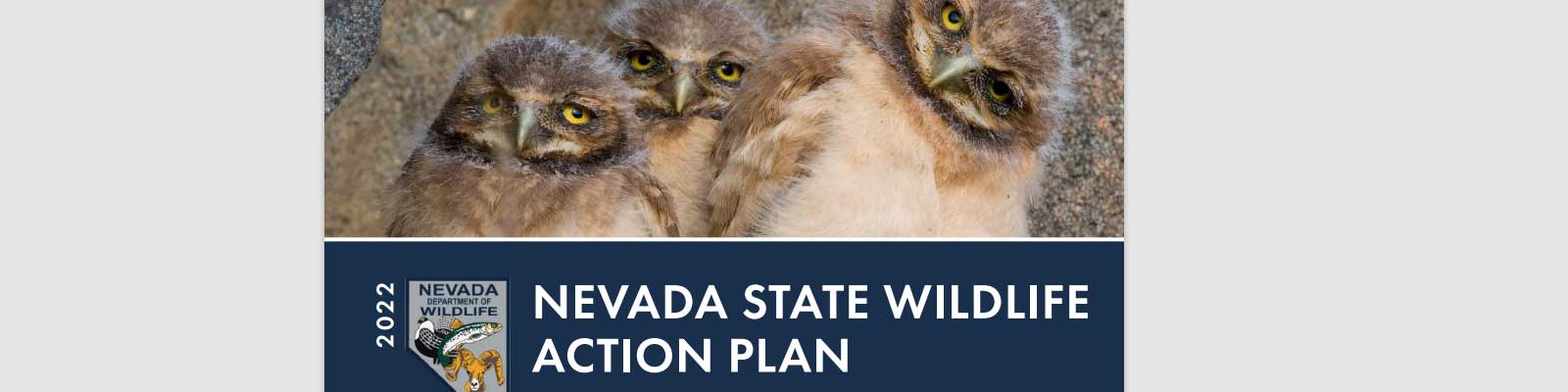 Nevada State Wildlife Action Plan